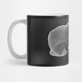 Orchid Mug